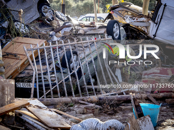 Thousands of volunteers participate in cleaning the areas affected by the floods of October 29 in Valencia. Towns such as Massanassa, Alfafa...