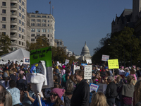 Thousands of demonstrators attend the Women's March in support of Vice President Kamala Harris in Washington DC, USA, on November 2, 2024. T...