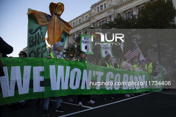 Thousands of demonstrators attend the Women's March in support of Vice President Kamala Harris in Washington DC, USA, on November 2, 2024. T...