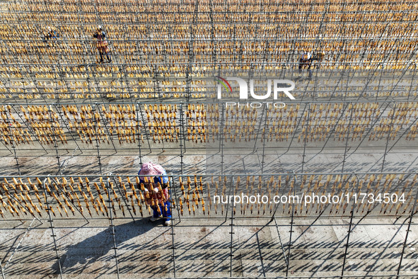 Workers dry squid at a seafood processing company in Zhanmao Industrial Park in Zhoushan, China, on November 3, 2024. 