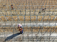 Workers dry squid at a seafood processing company in Zhanmao Industrial Park in Zhoushan, China, on November 3, 2024. (