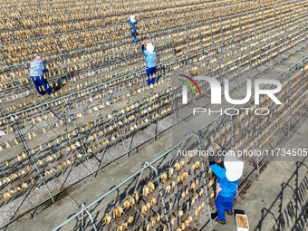 Workers dry squid at a seafood processing company in Zhanmao Industrial Park in Zhoushan, China, on November 3, 2024. (