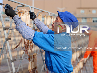 Workers dry squid at a seafood processing company in Zhanmao Industrial Park in Zhoushan, China, on November 3, 2024. (