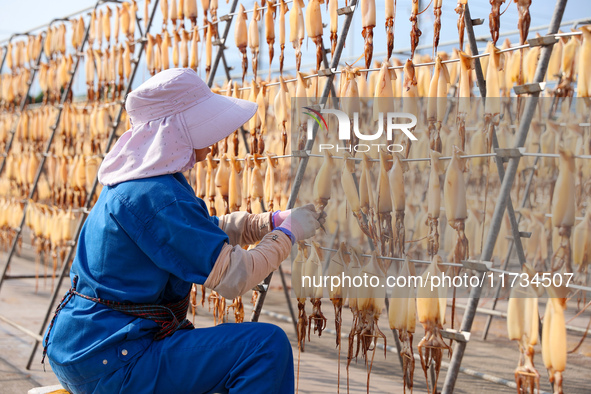 A worker dries squid at a seafood processing company in Zhanmao Industrial Park in Zhoushan, China, on November 3, 2024. 