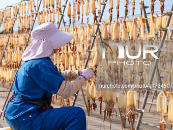 A worker dries squid at a seafood processing company in Zhanmao Industrial Park in Zhoushan, China, on November 3, 2024. (