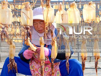 A worker dries squid at a seafood processing company in Zhanmao Industrial Park in Zhoushan, China, on November 3, 2024. (