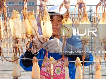 A worker dries squid at a seafood processing company in Zhanmao Industrial Park in Zhoushan, China, on November 3, 2024. (