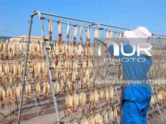 A worker dries squid at a seafood processing company in Zhanmao Industrial Park in Zhoushan, China, on November 3, 2024. (