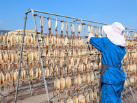 A worker dries squid at a seafood processing company in Zhanmao Industrial Park in Zhoushan, China, on November 3, 2024. (