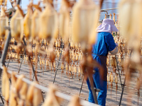 A worker dries squid at a seafood processing company in Zhanmao Industrial Park in Zhoushan, China, on November 3, 2024. (