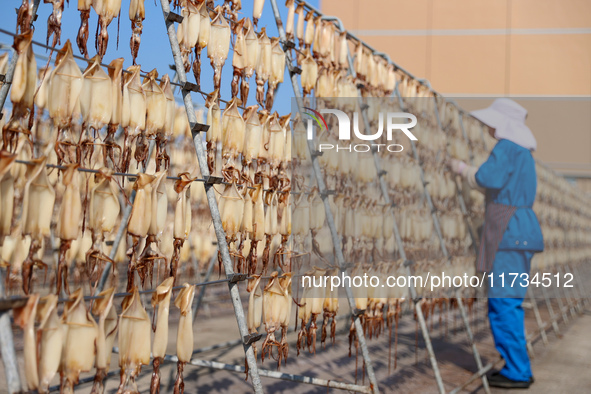 A worker dries squid at a seafood processing company in Zhanmao Industrial Park in Zhoushan, China, on November 3, 2024. 