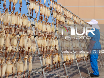 A worker dries squid at a seafood processing company in Zhanmao Industrial Park in Zhoushan, China, on November 3, 2024. (