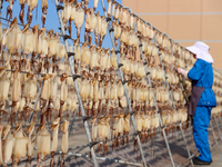 A worker dries squid at a seafood processing company in Zhanmao Industrial Park in Zhoushan, China, on November 3, 2024. (