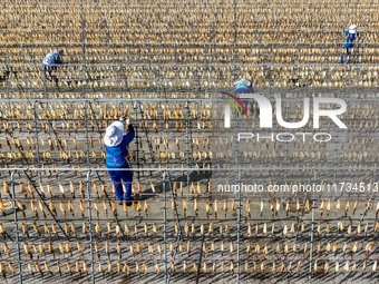 A worker dries squid at a seafood processing company in Zhanmao Industrial Park in Zhoushan, China, on November 3, 2024. (