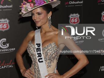 Miss Peru Tatiana Calmell attends the red carpet for the Miss Universe Catrinas Gala at Antiguo Colegio de las Vizcainas in Mexico City, Mex...