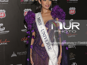 Miss Universe Sheynnis Palacios attends the red carpet for the Miss Universe Catrinas Gala at Antiguo Colegio de las Vizcainas in Mexico Cit...