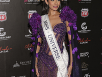 Miss Universe Sheynnis Palacios attends the red carpet for the Miss Universe Catrinas Gala at Antiguo Colegio de las Vizcainas in Mexico Cit...