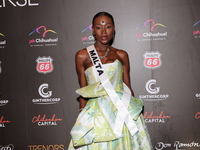 Miss Malta Beatrice Njoya attends the red carpet for the Miss Universe Catrinas Gala at Antiguo Colegio de las Vizcainas in Mexico City, Mex...