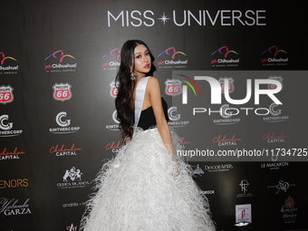 Miss Korea Ariel Han attends the red carpet for the Miss Universe Catrinas Gala at Antiguo Colegio de las Vizcainas in Mexico City, Mexico,...