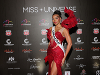 Miss Curacao Kimberly de Boer attends the red carpet for the Miss Universe Catrinas Gala at Antiguo Colegio de las Vizcainas in Mexico City,...