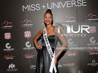 Miss United States Virgin Islands Stephany Andujar attends the red carpet for the Miss Universe Catrinas Gala at Antiguo Colegio de las Vizc...