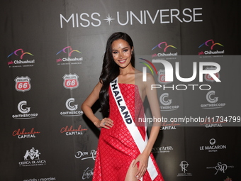 Miss Thailand Suchata Chuangsri attends the red carpet for the Miss Universe Catrinas Gala at Antiguo Colegio de las Vizcainas in Mexico Cit...