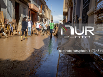 Thousands of volunteers participate in cleaning the areas affected by the floods of October 29 in Valencia. Towns such as Massanassa, Alfafa...