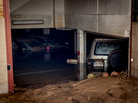 Thousands of volunteers participate in cleaning the areas affected by the floods of October 29 in Valencia. Towns such as Massanassa, Alfafa...