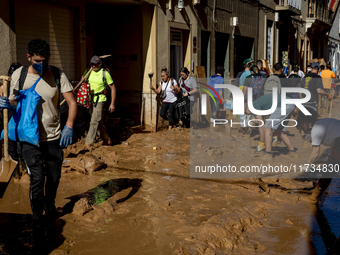 Thousands of volunteers participate in cleaning the areas affected by the floods of October 29 in Valencia. Towns such as Massanassa, Alfafa...