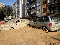 Thousands of volunteers participate in cleaning the areas affected by the floods of October 29 in Valencia. Towns such as Massanassa, Alfafa...