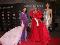 (L-R) Miss Czech Republic Marie Danci, Miss Martinique Angelique Angarni-Filopon, and Miss Slovakia Petra Sivakova attend the red carpet for...