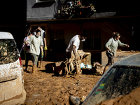 Thousands of volunteers participate in cleaning the areas affected by the floods of October 29 in Valencia. Towns such as Massanassa, Alfafa...