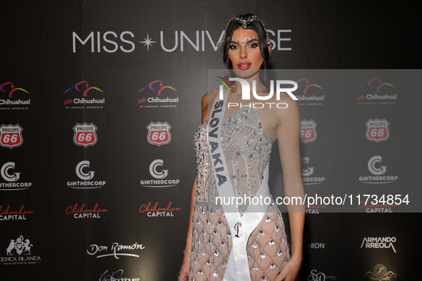 Miss Slovakia Petra Sivakova attends the red carpet for the Miss Universe Catrinas Gala at Antiguo Colegio de las Vizcainas in Mexico City,...