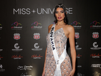 Miss Slovakia Petra Sivakova attends the red carpet for the Miss Universe Catrinas Gala at Antiguo Colegio de las Vizcainas in Mexico City,...