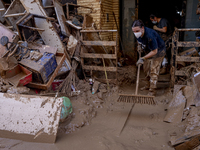 Thousands of volunteers participate in cleaning the areas affected by the floods of October 29 in Valencia. Towns such as Massanassa, Alfafa...