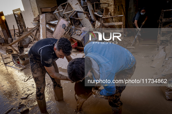 Thousands of volunteers participate in cleaning the areas affected by the floods of October 29 in Valencia. Towns such as Massanassa, Alfafa...