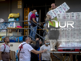 Thousands of volunteers participate in cleaning the areas affected by the floods of October 29 in Valencia. Towns such as Massanassa, Alfafa...