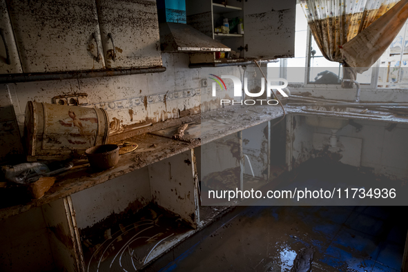 Thousands of volunteers participate in cleaning the areas affected by the floods of October 29 in Valencia. Towns such as Massanassa, Alfafa...