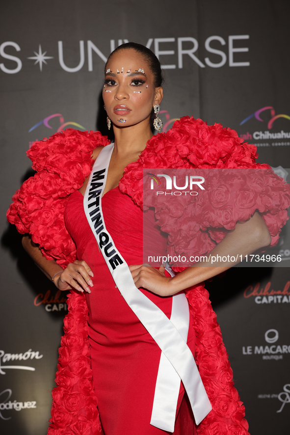 Miss Martinique Angelique Angarni-Filopon attends the red carpet for the Miss Universe Catrinas Gala at Antiguo Colegio de las Vizcainas in...