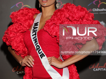 Miss Martinique Angelique Angarni-Filopon attends the red carpet for the Miss Universe Catrinas Gala at Antiguo Colegio de las Vizcainas in...