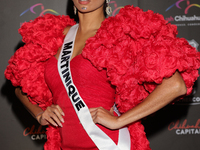 Miss Martinique Angelique Angarni-Filopon attends the red carpet for the Miss Universe Catrinas Gala at Antiguo Colegio de las Vizcainas in...