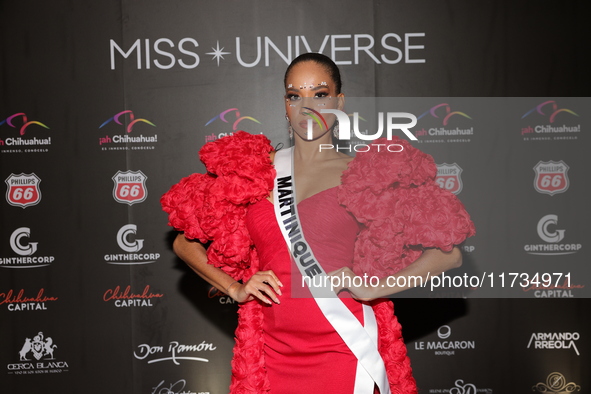 Miss Martinique Angelique Angarni-Filopon attends the red carpet for the Miss Universe Catrinas Gala at Antiguo Colegio de las Vizcainas in...