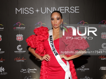 Miss Martinique Angelique Angarni-Filopon attends the red carpet for the Miss Universe Catrinas Gala at Antiguo Colegio de las Vizcainas in...