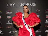 Miss Martinique Angelique Angarni-Filopon attends the red carpet for the Miss Universe Catrinas Gala at Antiguo Colegio de las Vizcainas in...