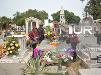 People decorate the graves of their loved ones with cempasuchil flowers at the Municipal Cemetery of San Juan del Rio. Mexicans visit the ce...