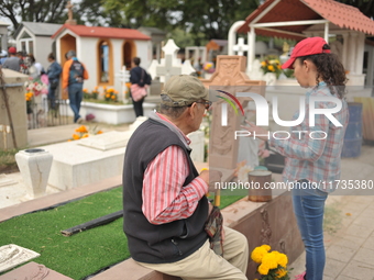 People decorate the graves of their loved ones with cempasuchil flowers at the Municipal Cemetery of San Juan del Rio. Mexicans visit the ce...