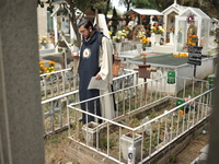 A person decorates the grave of their loved ones with cempasuchil flowers at the Municipal Cemetery of San Juan del Rio. Mexicans visit the...