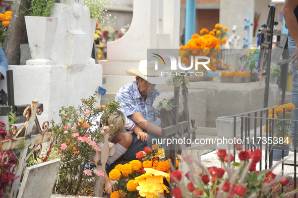 A person decorates the grave of their loved ones with cempasuchil flowers at the Municipal Cemetery of San Juan del Rio. Mexicans visit the...