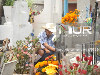 A person decorates the grave of their loved ones with cempasuchil flowers at the Municipal Cemetery of San Juan del Rio. Mexicans visit the...