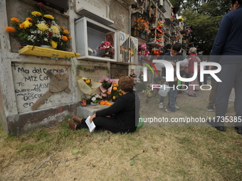 People decorate the graves of their loved ones with cempasuchil flowers at the Municipal Cemetery of San Juan del Rio. Mexicans visit the ce...